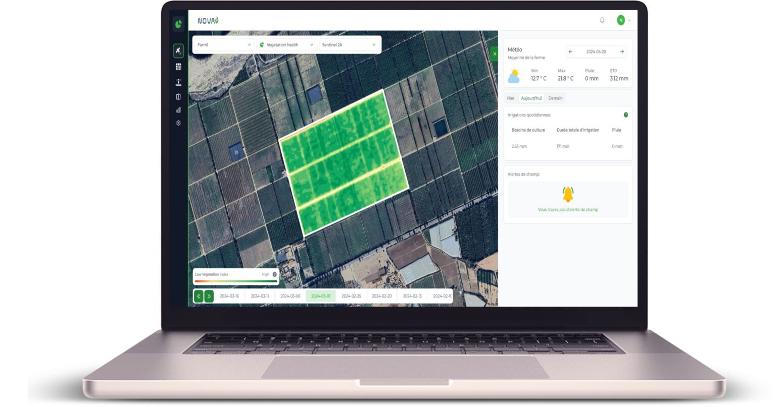 découpage des parcelles